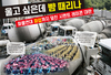 울고 싶은데 뺨 때리나 화물연대 파업까지 덮친 시멘트 레미콘 대란