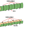 죽근(竹筋) 콘크리트